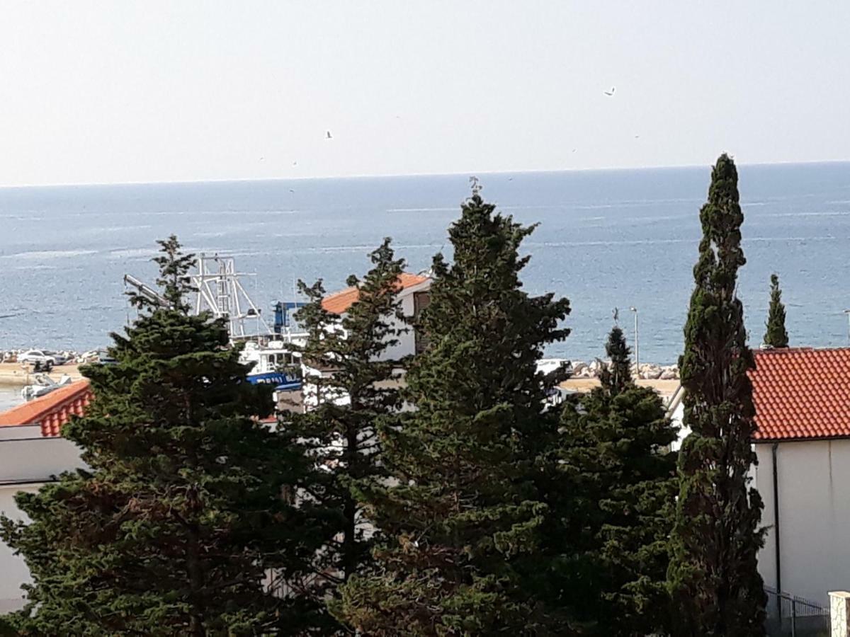 Apartments Puky Dreams Novalja Εξωτερικό φωτογραφία